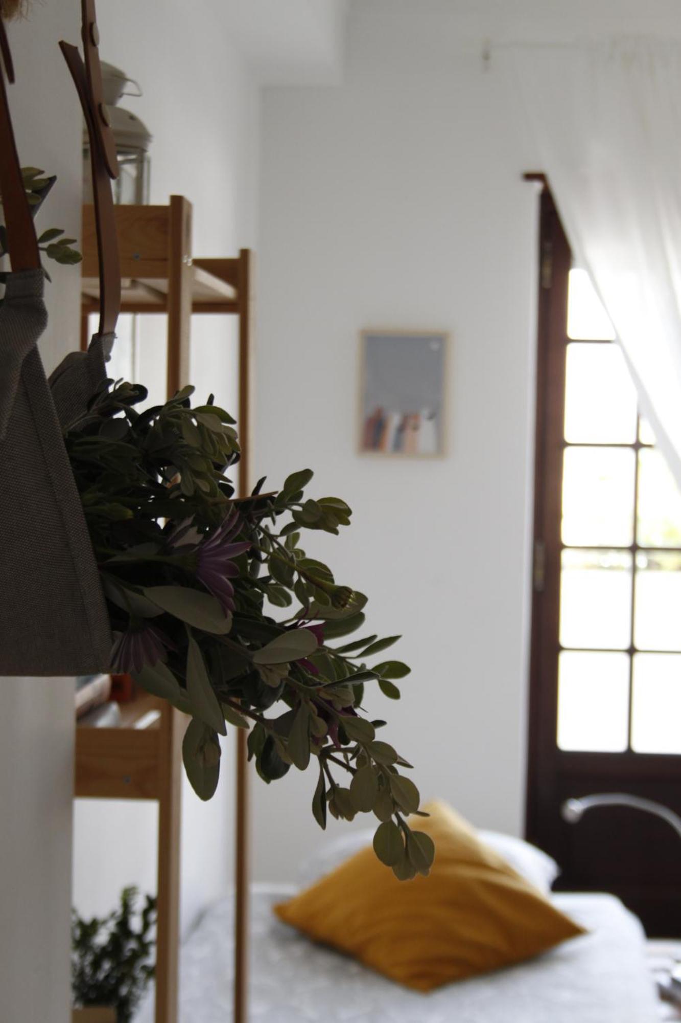 Boa Onda Guesthouse Atouguia Da Baleia Cameră foto